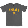 Load image into Gallery viewer, Amidala Garment Dyed Tee