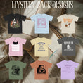 Load image into Gallery viewer, Bookish Mystery Pack