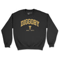 Load image into Gallery viewer, Diggory Surname Crewneck Sweatshirt