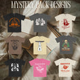 Load image into Gallery viewer, Bookish Mystery Pack
