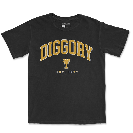 Diggory Surname Garment Dyed Tee
