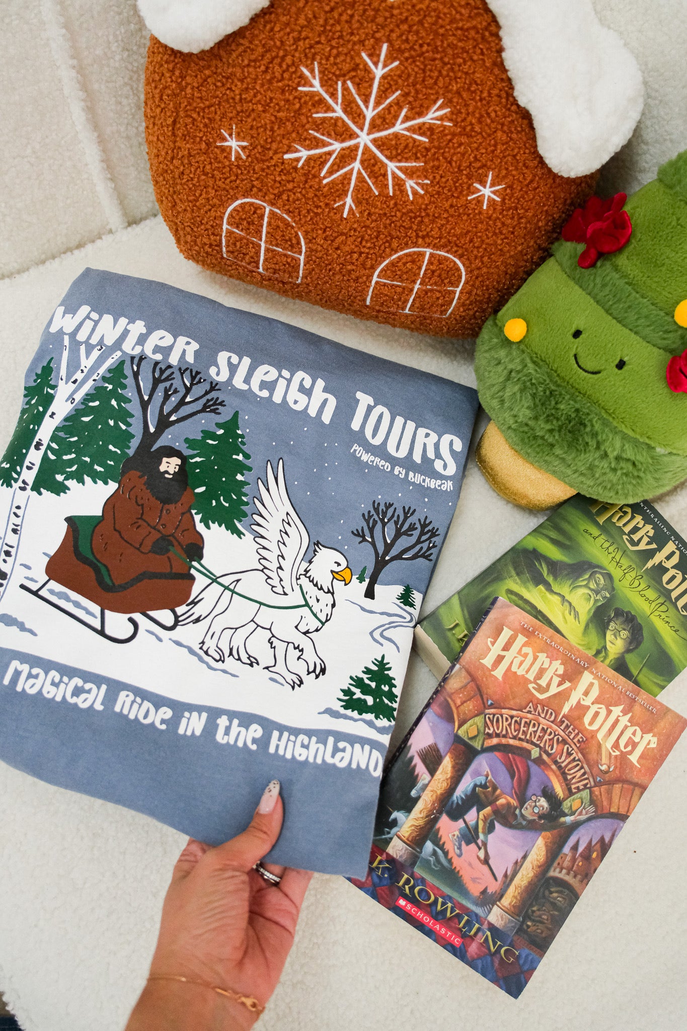 Winter Sleigh Tour Garment Dyed Tee