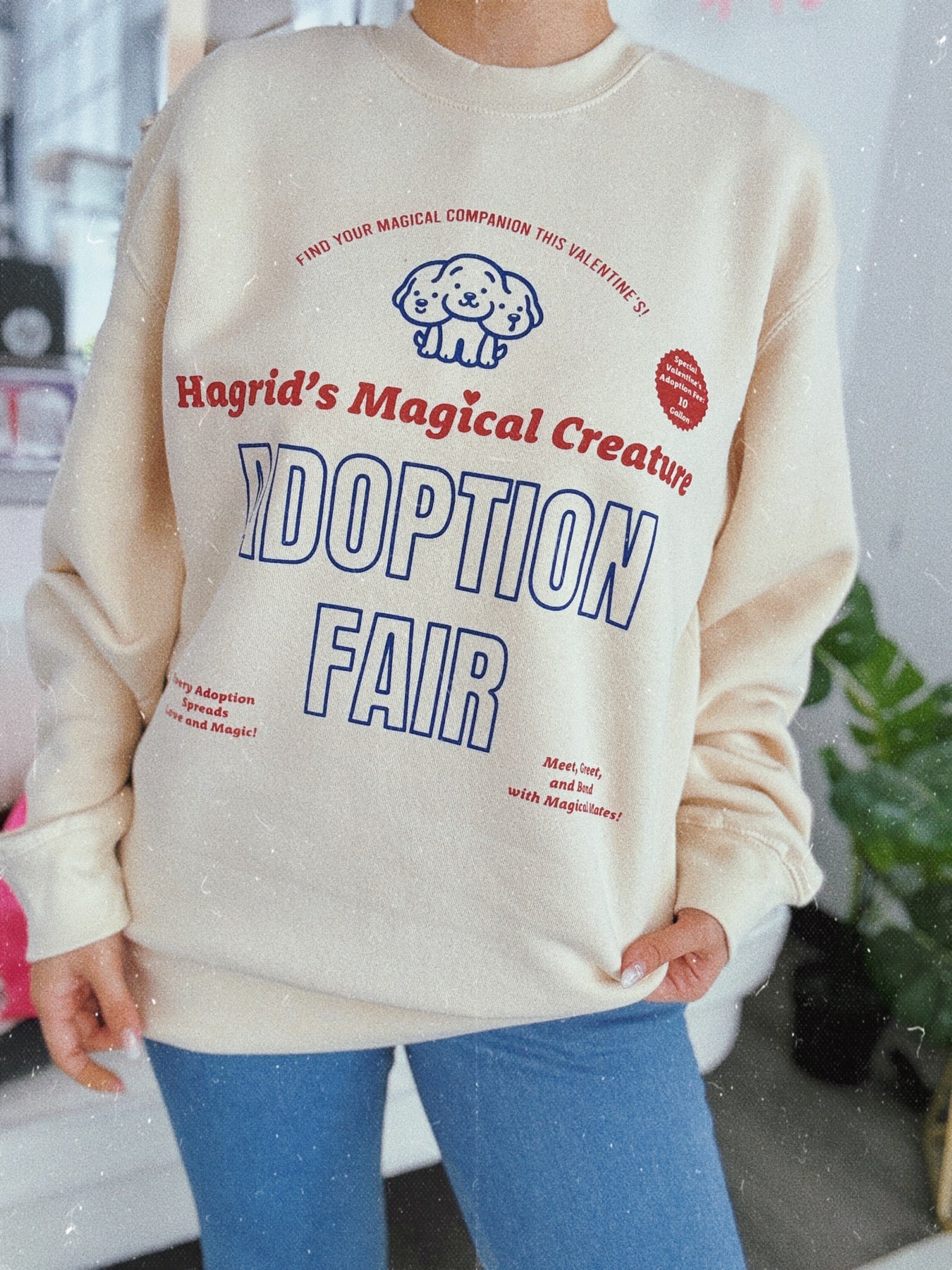 Hagrid's Adoption Fair Graphic Sweatshirt