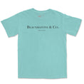 Load image into Gallery viewer, Beauxbatons & Co. Garment Dyed Tee
