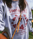 Load image into Gallery viewer, Stars Hollow Autumn Festival Graphic Sweatshirt/Hoodie
