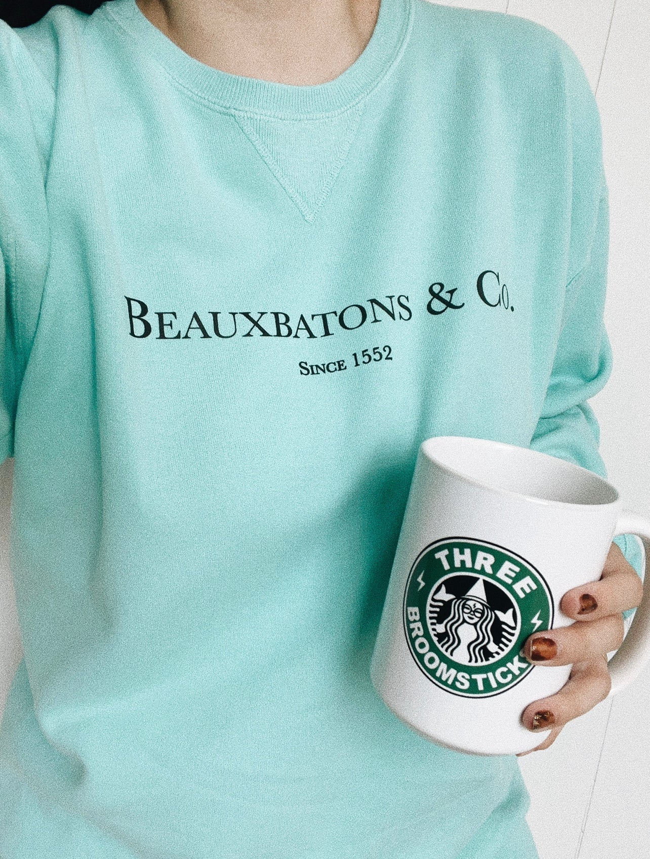 Beauxbatons & Co. Garment Dyed Tee & Sweatshirt
